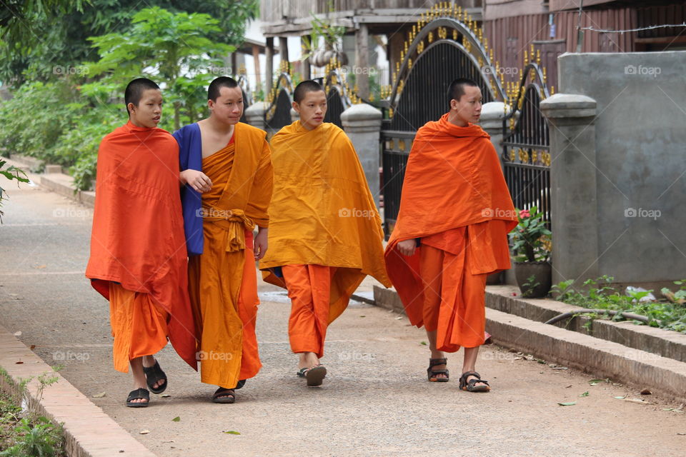 Four monks walking at Luang Prabang - Laos - January 2016