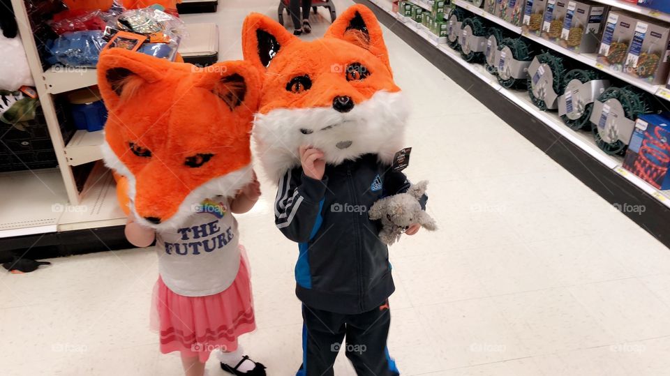 Two small foxes in costume take on target 