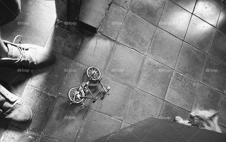 Enter the giant house