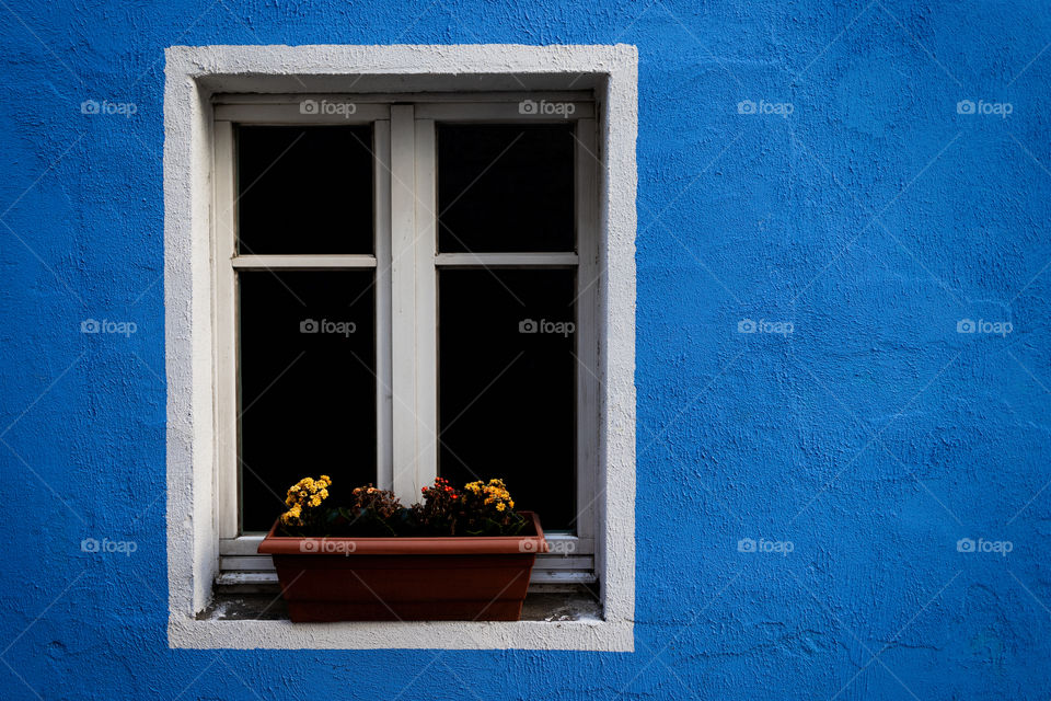 Window / Fenster