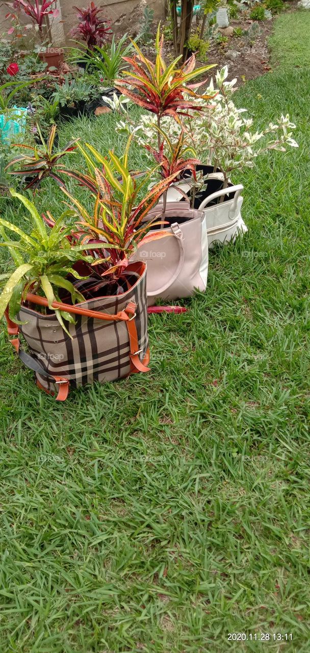 Handbag Planters