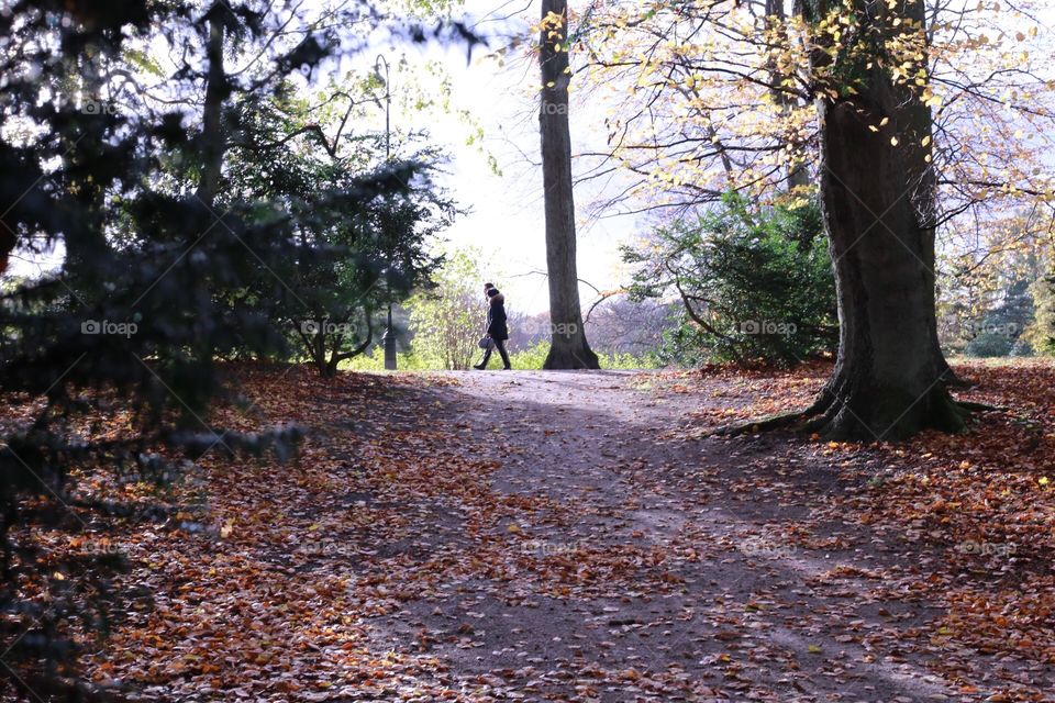 Couple taking a walk in the park by the autumn leaves