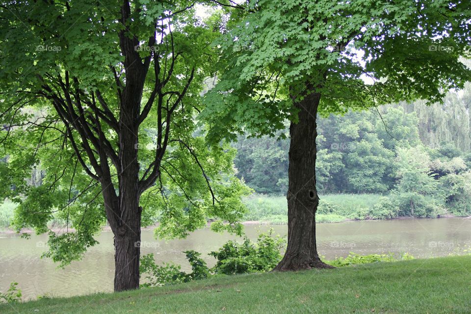 Landscape, river 