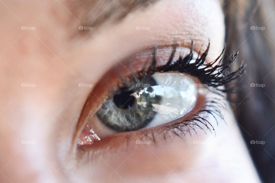 Close-up of gray eyes