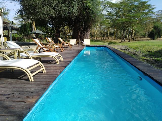 Loved this Swimming Pool at Swara Acacia Lodge in Kenya