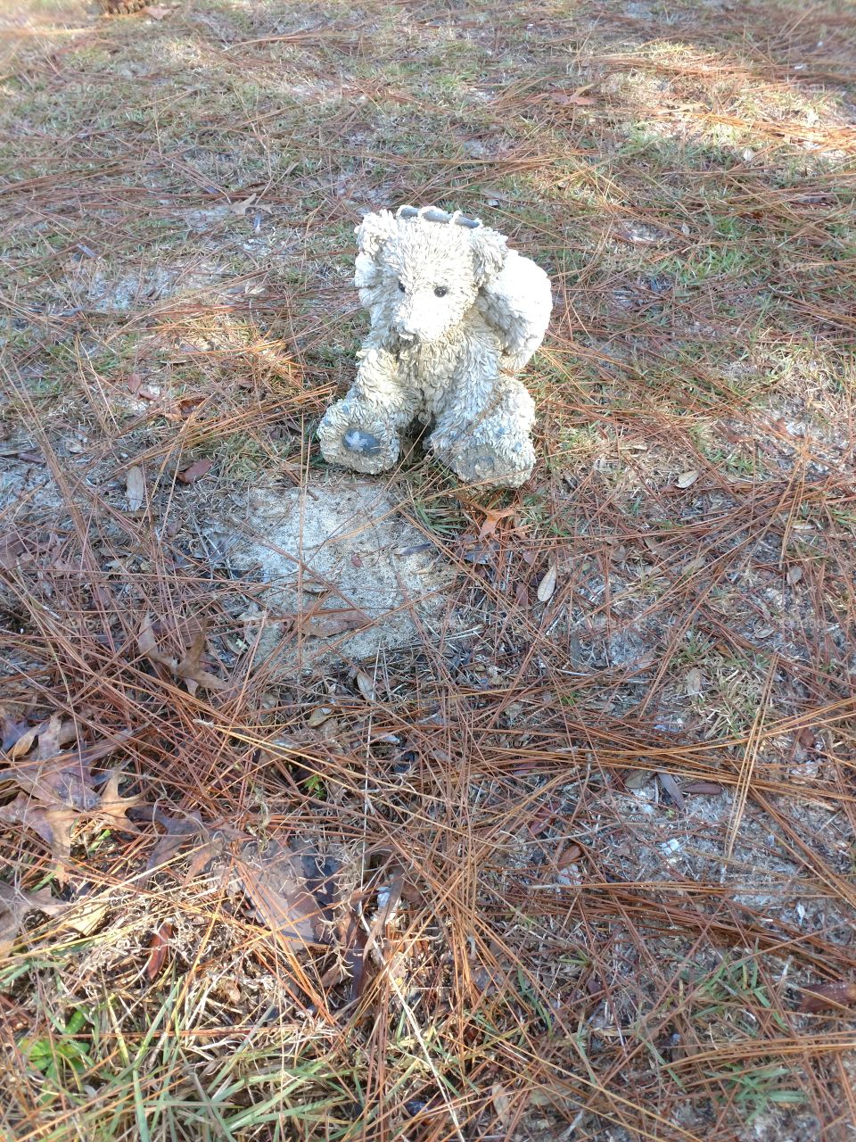 lost in the pine straw, bear monument, grave cover, memorial