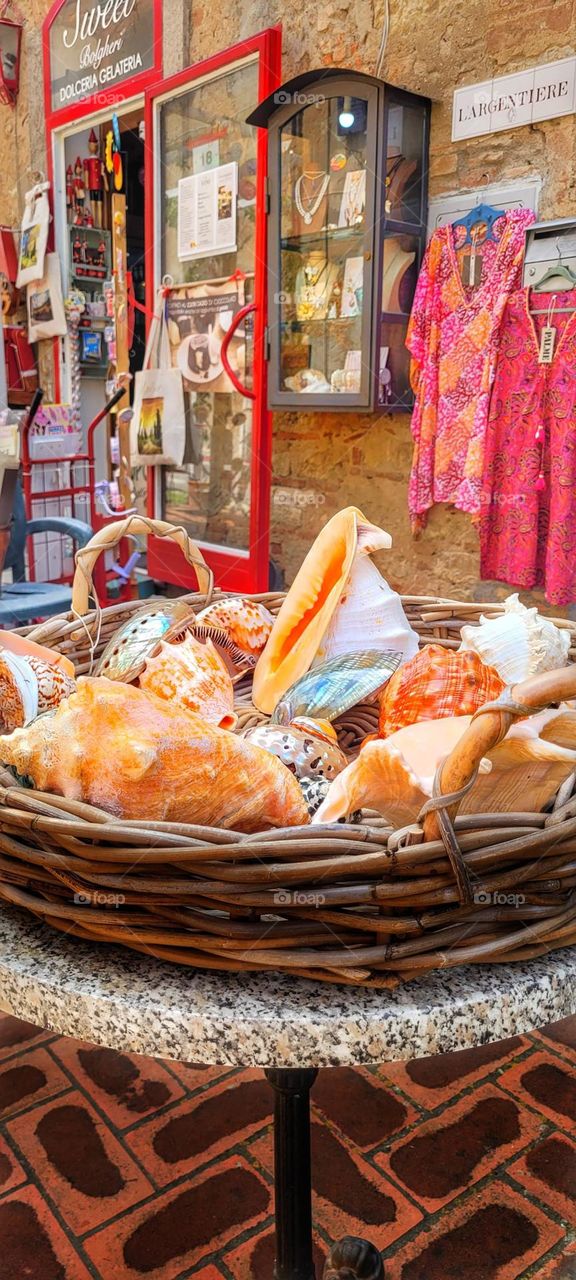 basket of seashells