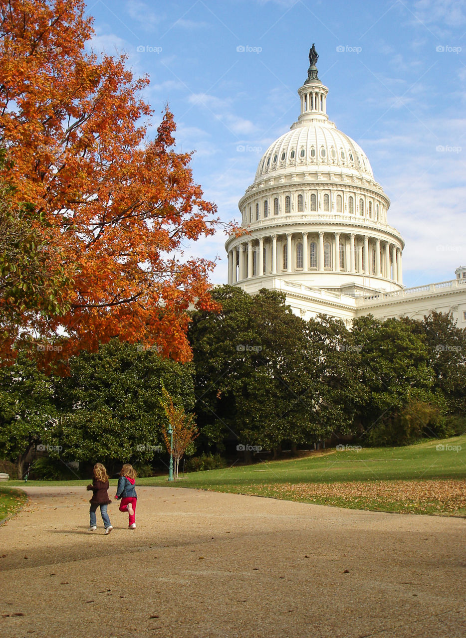 Autumn in Washington . Congress