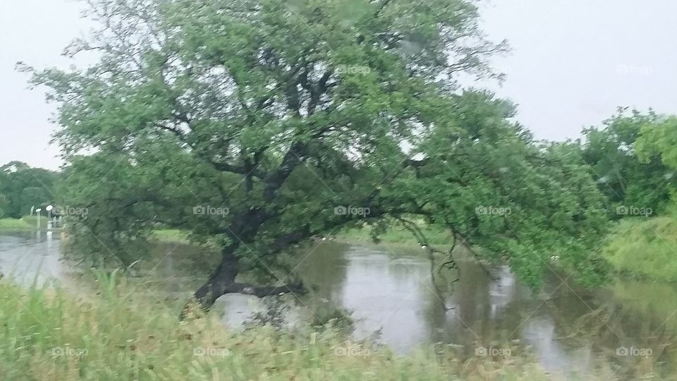 San Antonio Flooding. San Antonio Texas flooding.