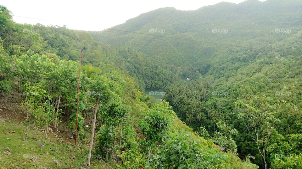 View from the Top of Loboc River in Bohol Philippines