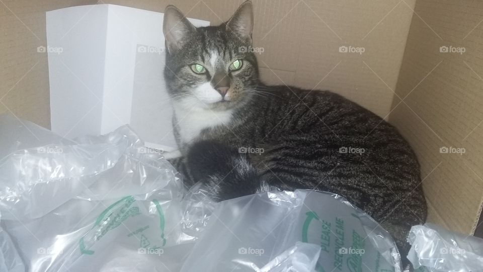 Nice and chill in a box