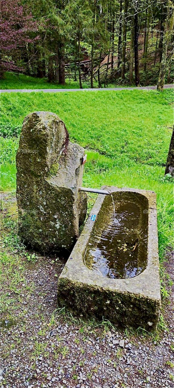 This is a freshwater spring coming out of a rock in a clearing of the “Bayerischer Wald”, the “Bavarian Forest” near “Eging” and the “Eging Lake”, the “Eginger See”. 2024. Hypnotic Productions