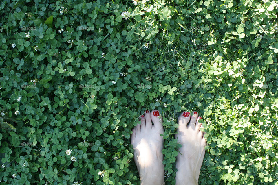Bare feets on the grass