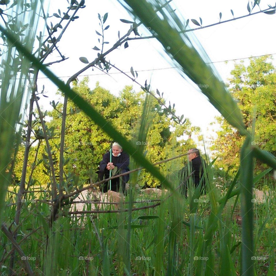 An old father who sits in nature with his son has a quiet session and offers life advice.