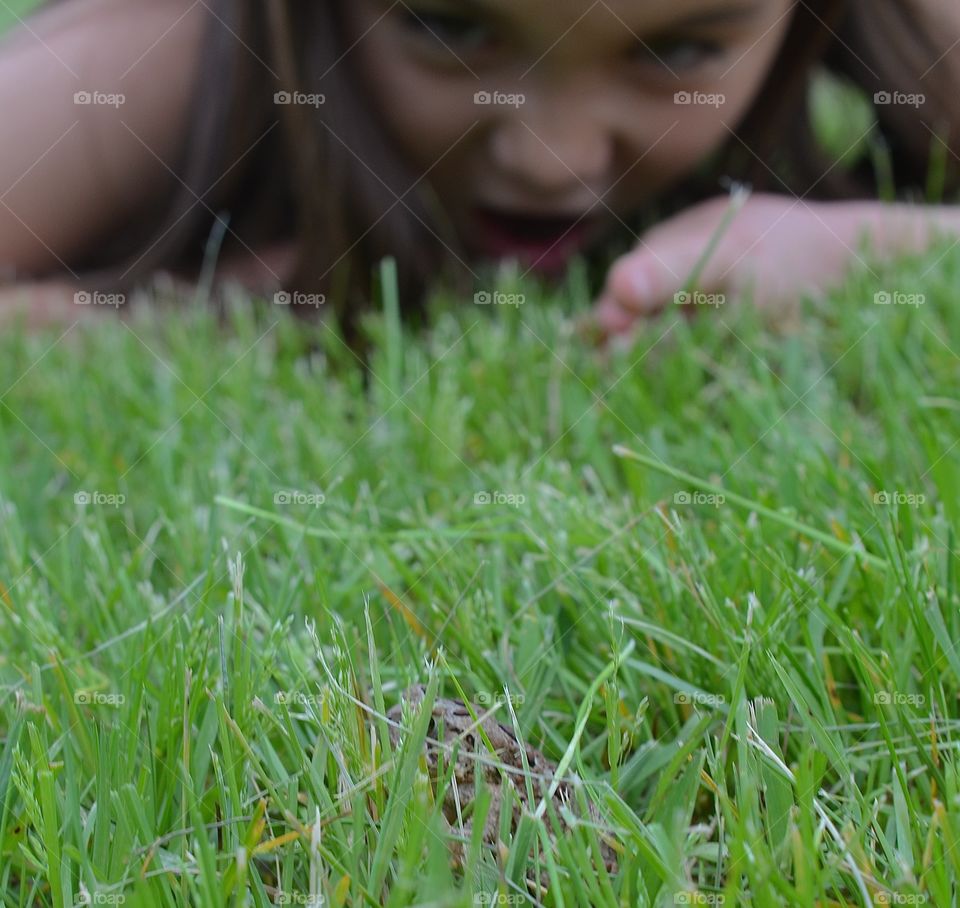 Little girl watching frog in grass