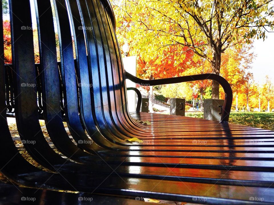 yellow red chair black by portugala