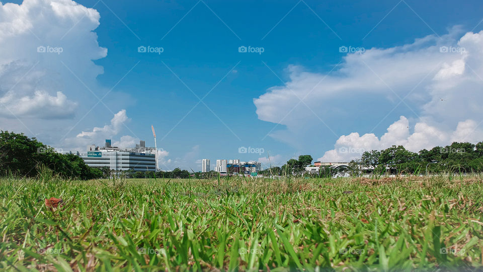 Green field with blue sky