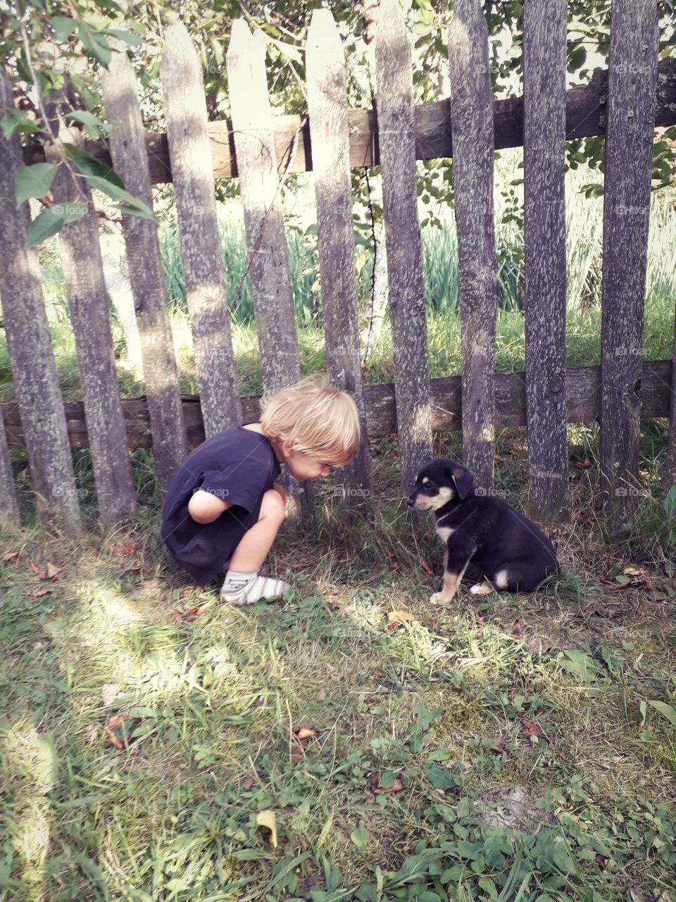 little boy with a puppy seating on the grass