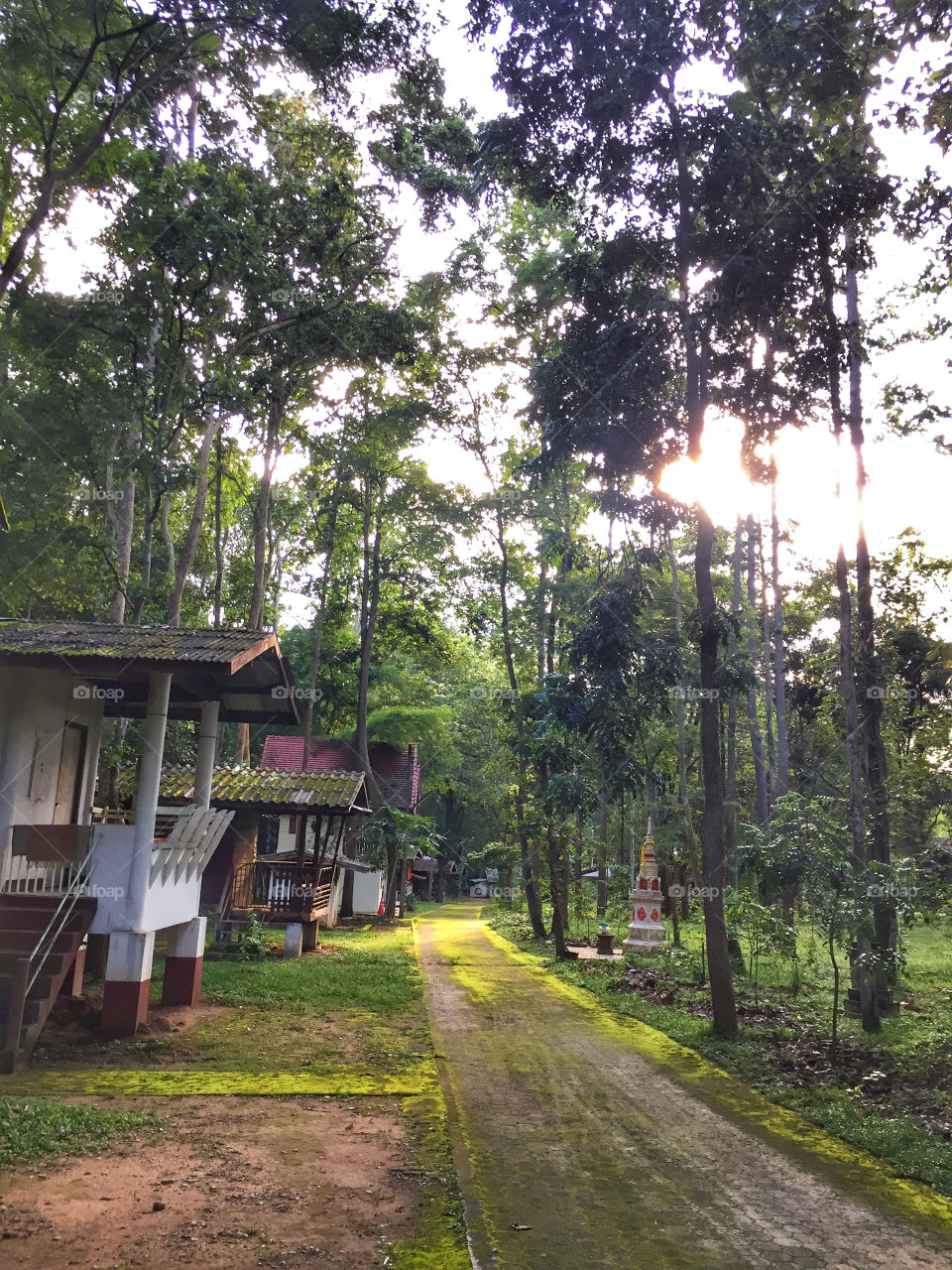 Houses of Buddhist monks in serene nature