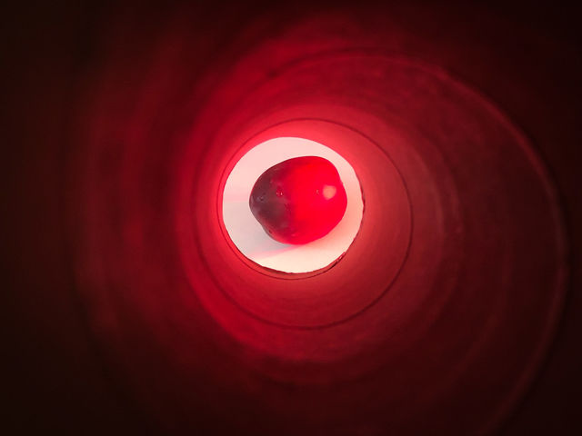 Tunnel Vision