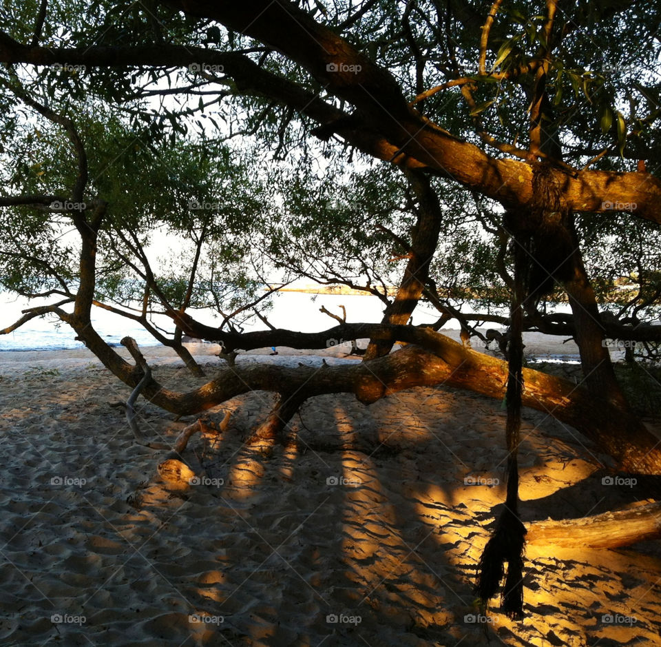 beach shadows playground natural by chattis