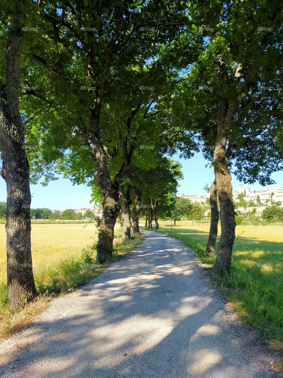 walking in the countryside