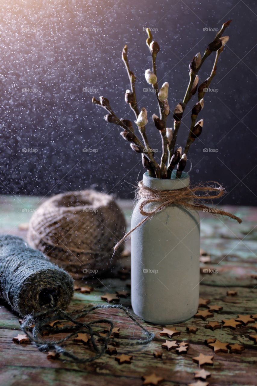 Bouquet of willow in a vase