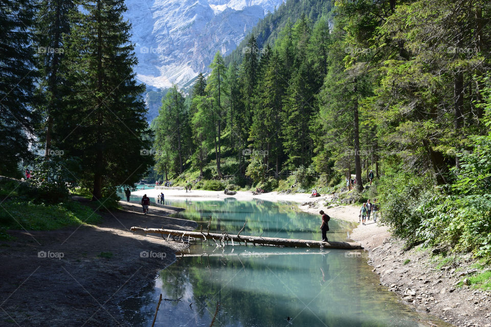 On the wooden bridge