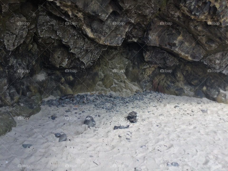 A Cave along the Beach at Hug Point in Oregon 