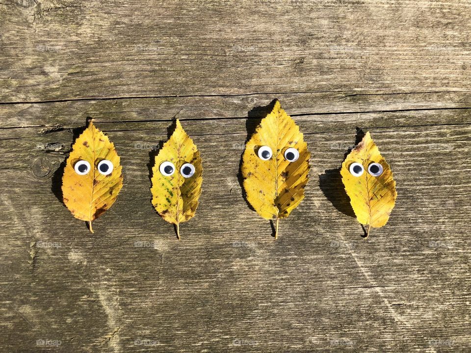 Yellow leaves with black googly eyes on rustic wooden table - the minions