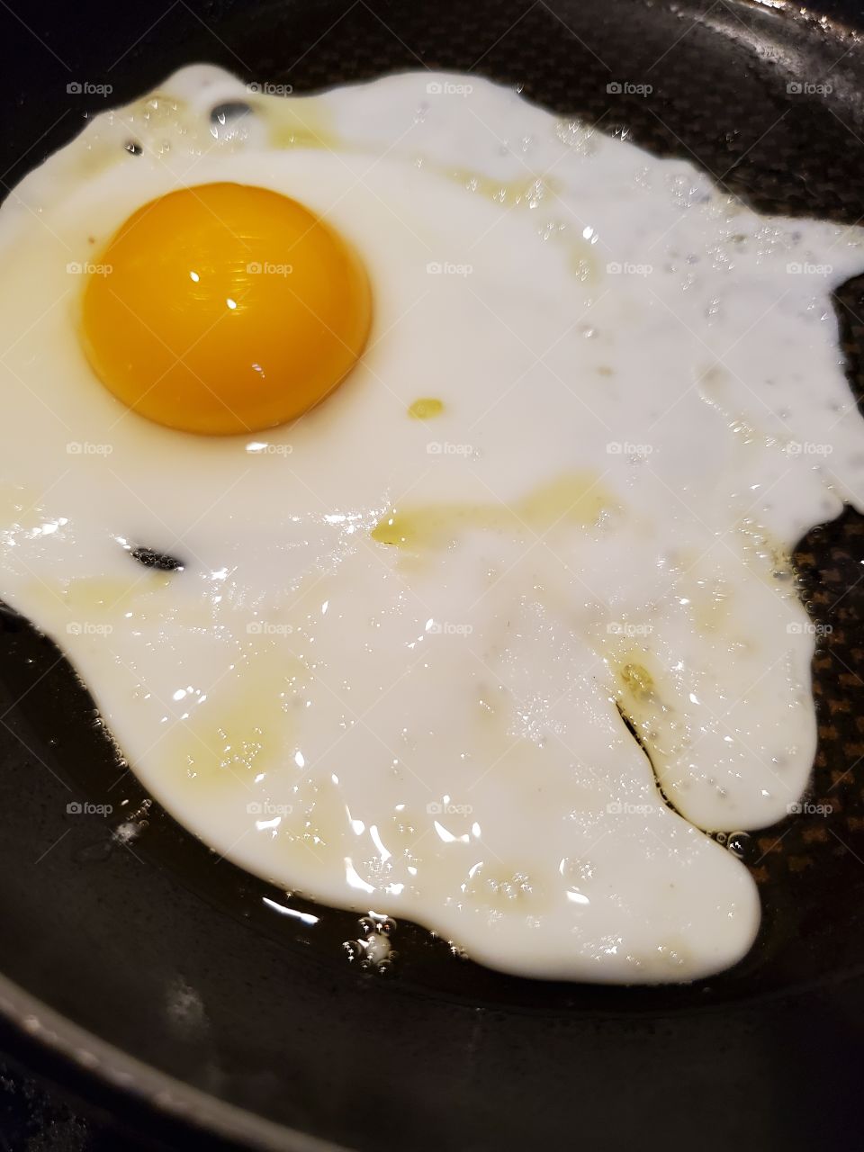 egg