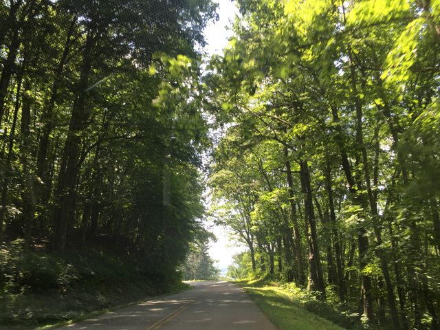 Roads
