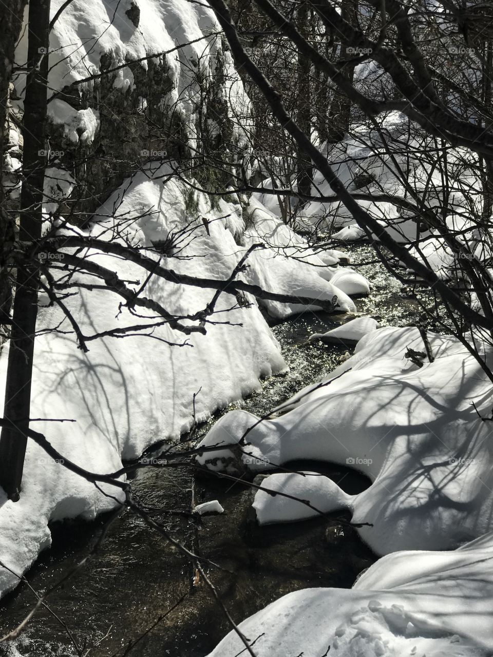 Nature Winter Landscape 