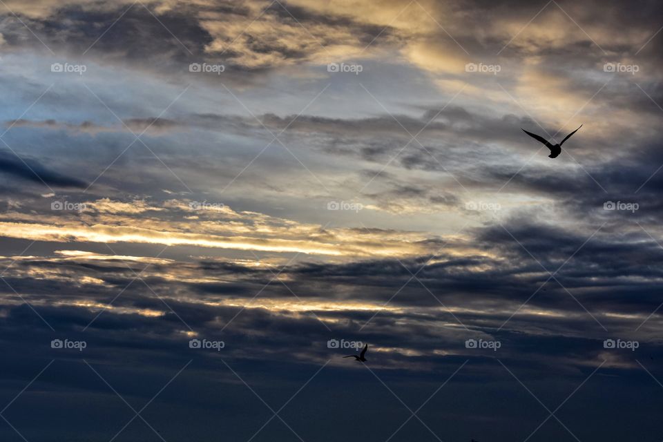 Sky, Sunset, No Person, Nature, Evening