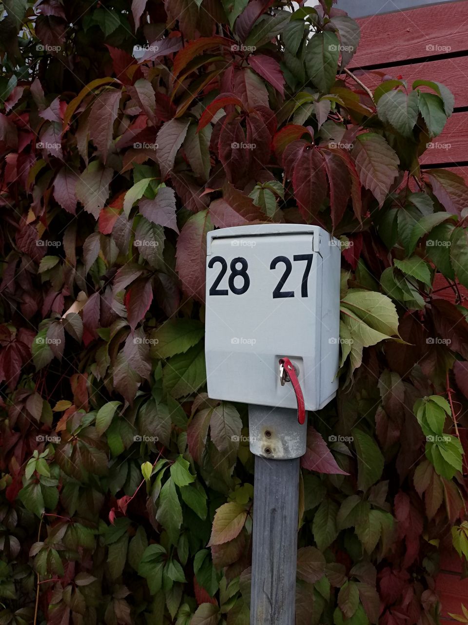 A heating pole for charging power to a battery of a car. Black numbers on a grey lid and a metallic key with a red leather fob in a key hole. On a wall of shelter of garbage multicoloured creeper grow.