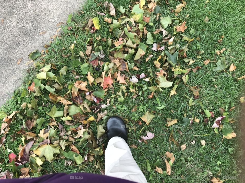 Walking on leaves 