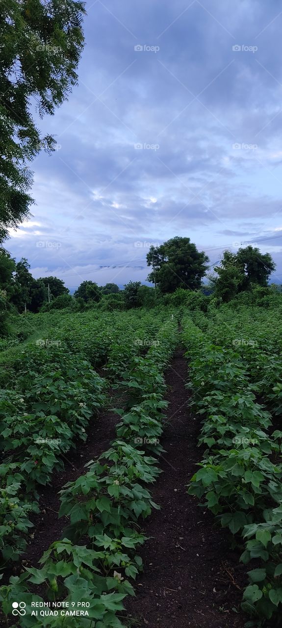 The weather on a rainy day looks very beautiful.
Man seems to have come to heaven on earth.
Looking at the clouds on the mountains, it seems that in these plaintiffs search forever