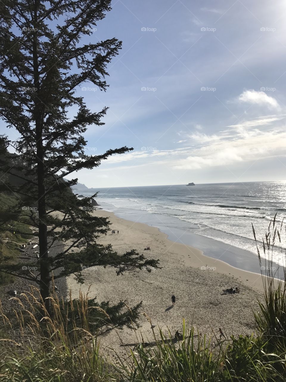 Oregon Coast