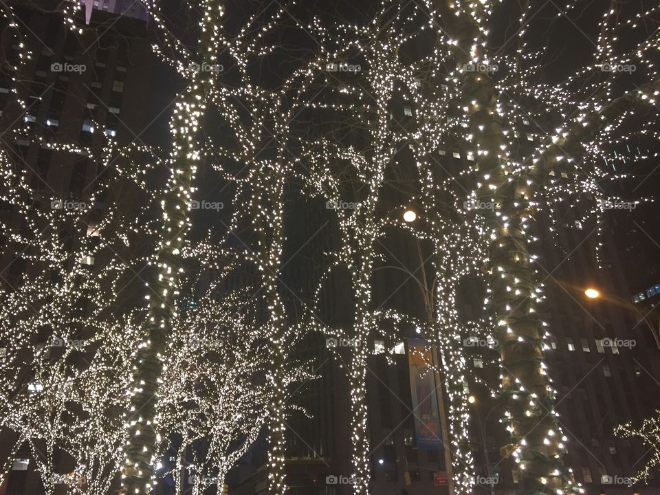 Christmas in NYC