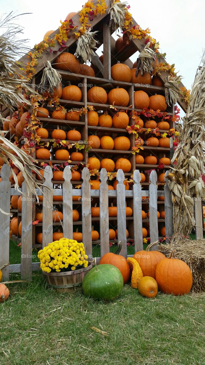 pumpkin house