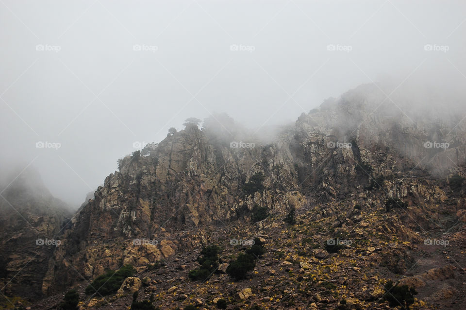 Misty mountains . mist and cold...