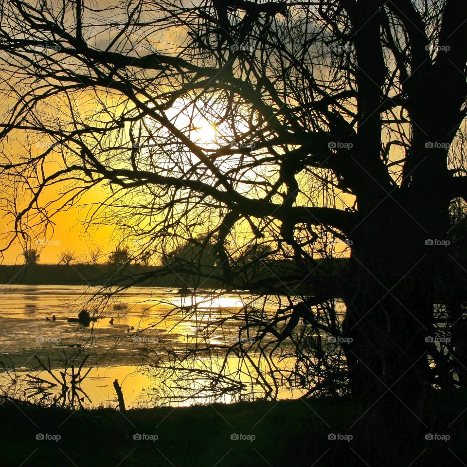 Sunset in the wetlands