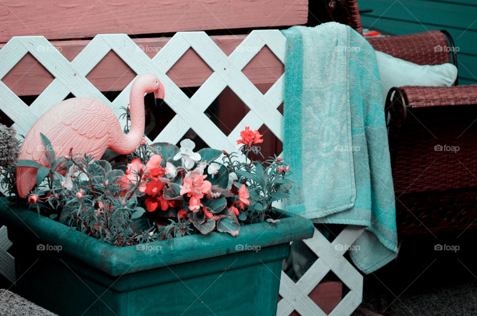 Take the Nostalgic Way Home ( Series )