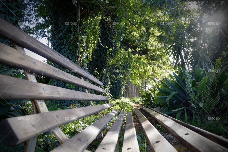 Taking a seat in the forest