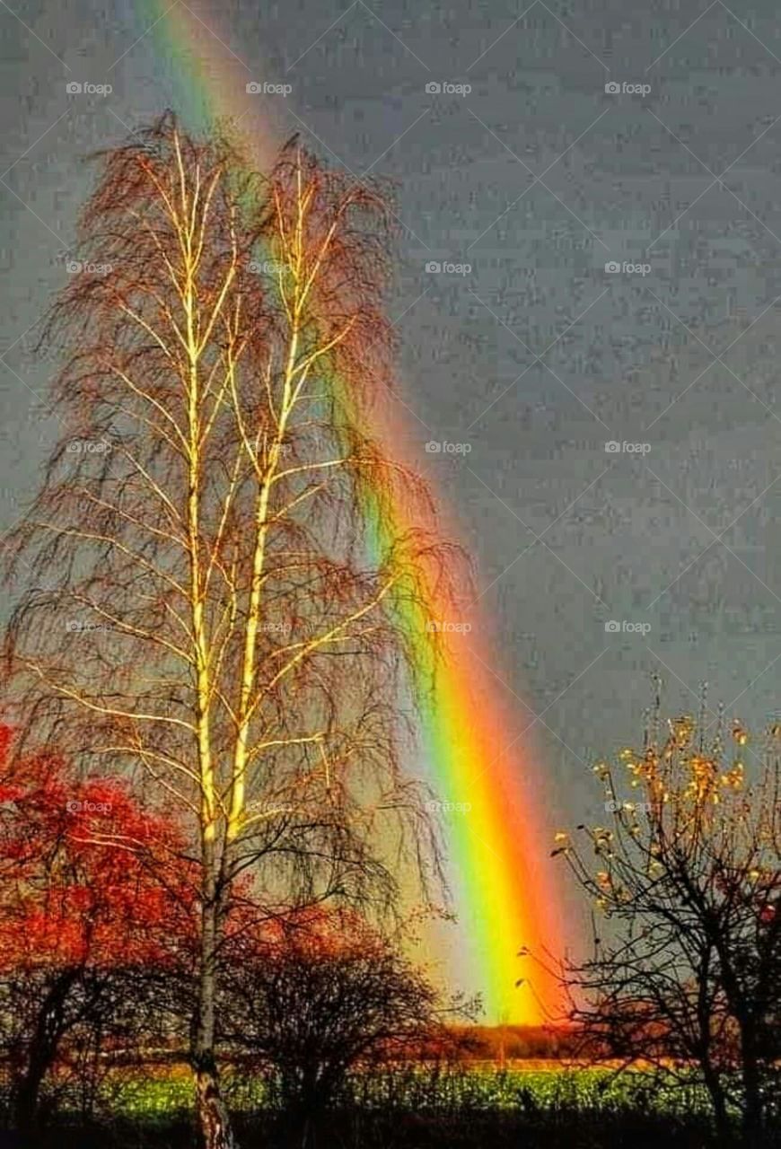 natural art rainbow