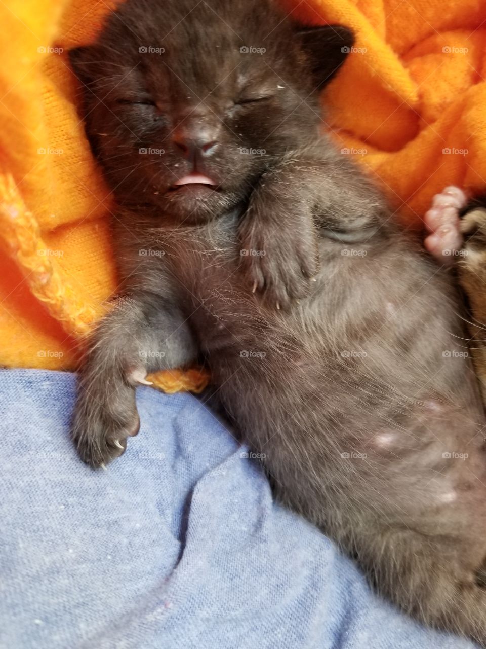 when your tummy is so full you just have to stick out your tongue!