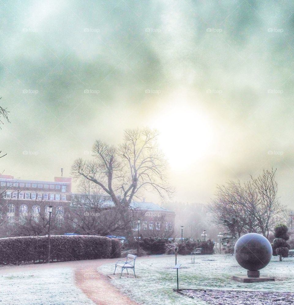 First Chilly Day in November