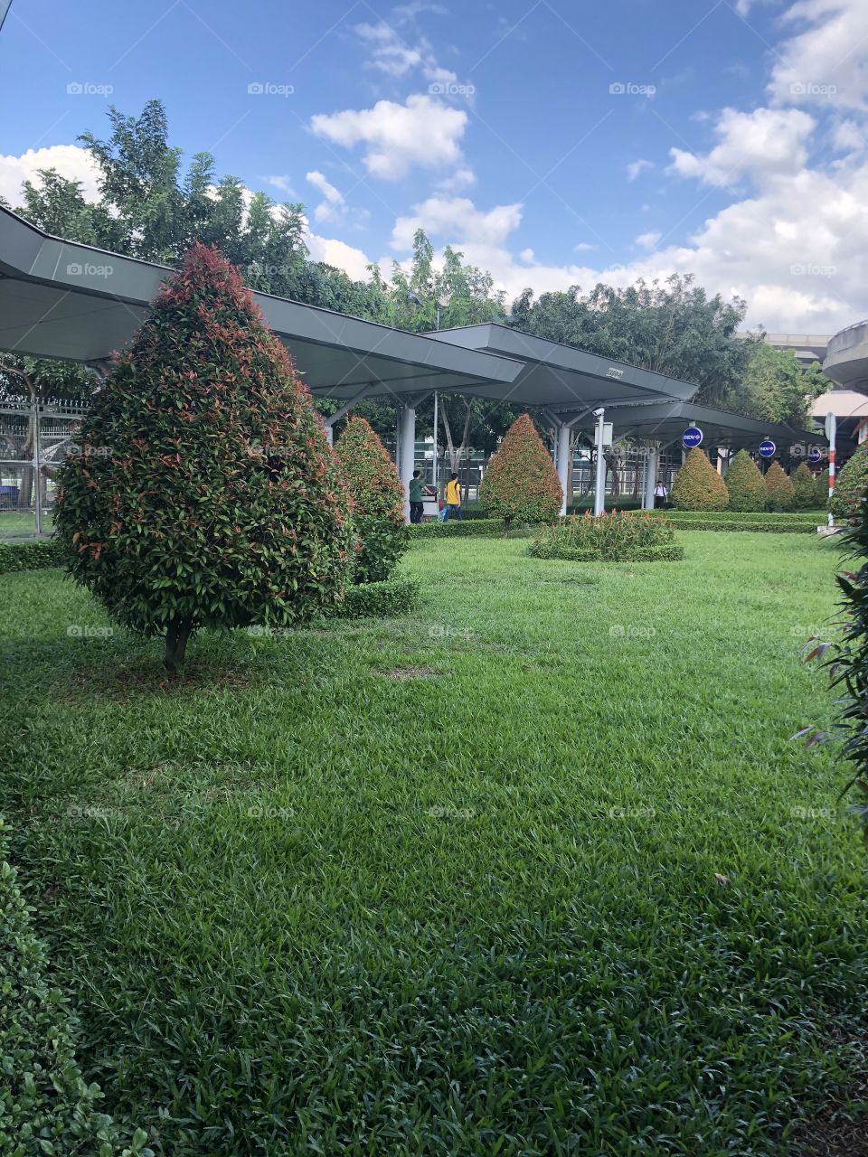 The path at my workplace