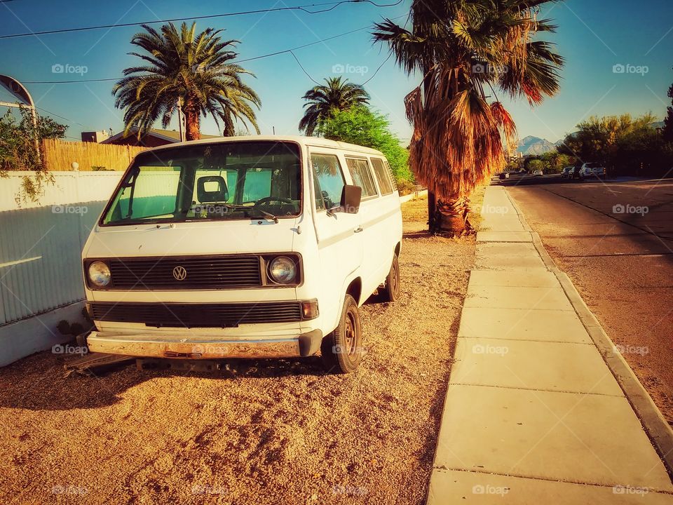 Volkswagon Van - VW Van - Hippie Van - with Palm Tree - Outside with Nice Golden Glow from Sunshine - Sunny Day