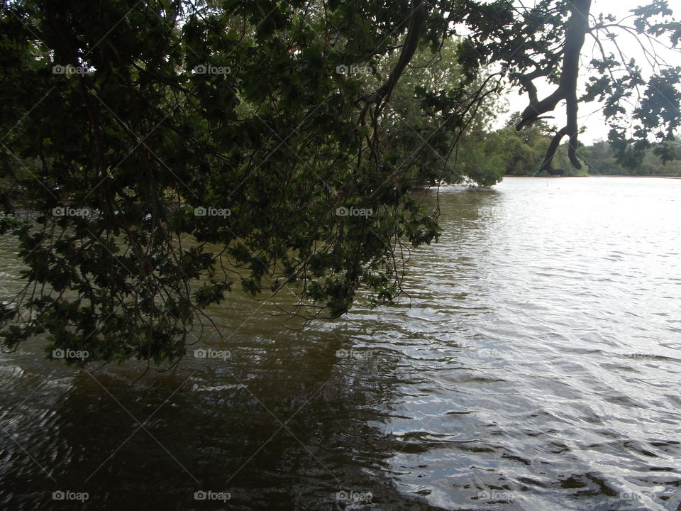 Beside A Lake